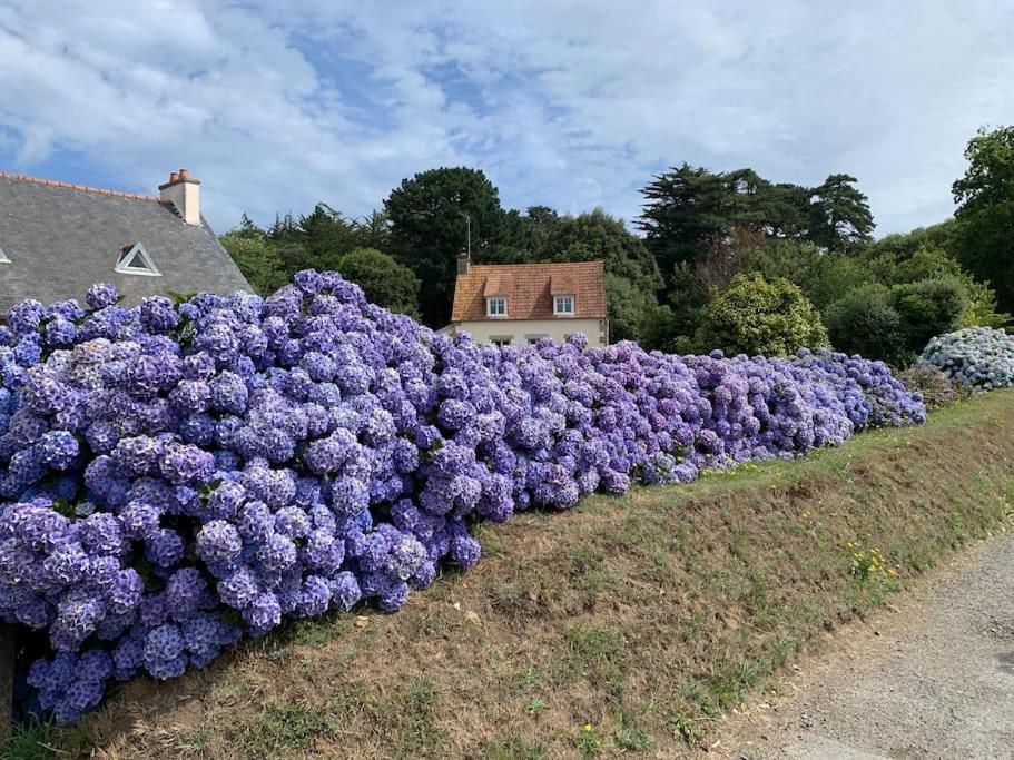 Villa La Petite Bretonne Plounerin Exterior foto